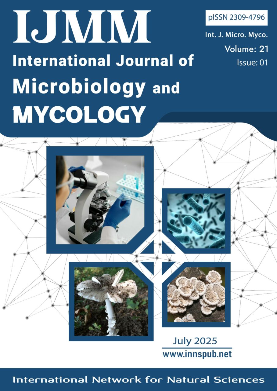 IJMM Journal