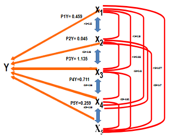 Path coefficient analysis for the yield components of rice cultivars in ...
