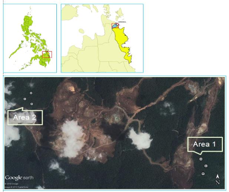 Rapid assessment on tree diversity of Nickel Mining sites in Carrascal ...