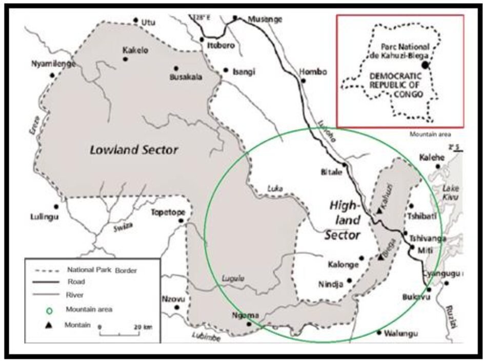 Study of the Congolese distribution of the Lycophytes and Ferns from ...