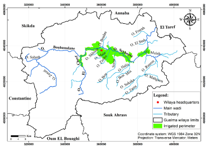 Assessment of shallow groundwater quality in the Guelma-Bouchegouf ...