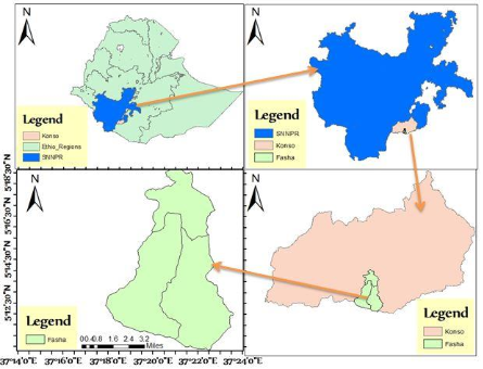 Selected soil properties under different land uses at Fasha District ...